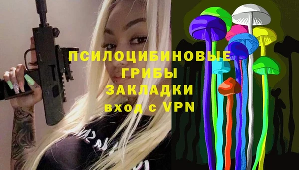 таблы Снежногорск